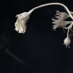 Untitled design