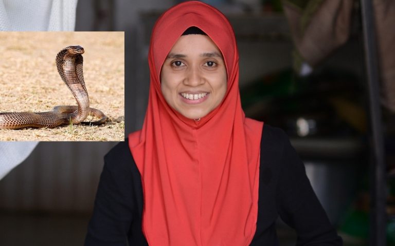 Gadis Ini Berdepan Kematian, Peliknya Saat Dia Menyebut Allahuakbar 3 Kali, Ular Tedung Selar Terus Tunduk & Berlalu Pergi