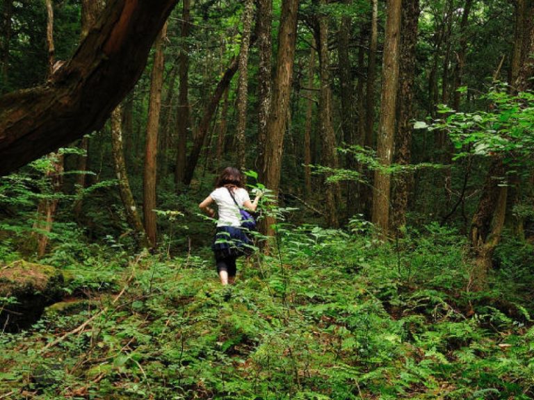 9 Perkara Tentang ‘Suicide Forest’ Yang Selalu Dibincangkan Oleh Orang Jepun