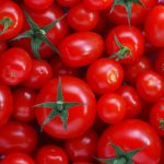 tomatoes