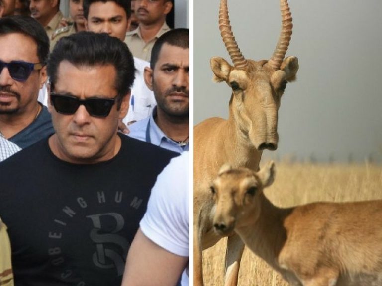 Bunuh Binatang Hampir Pupus Ketika Penggambaran Filem, Salman Khan Dijatuhi Hukuman 5 Tahun Penjara