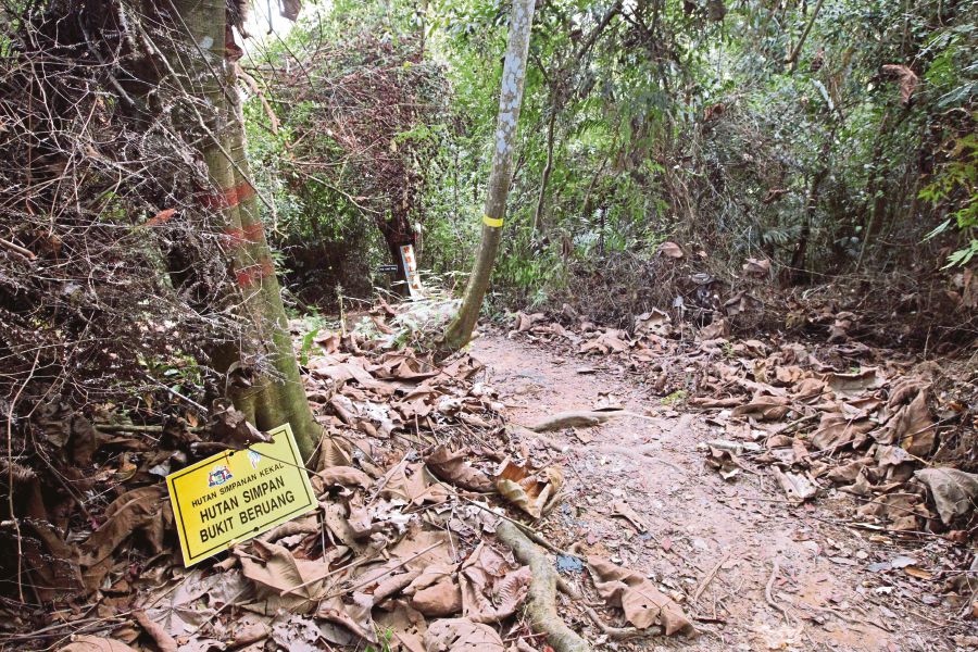 12 Tempat Hiking Paling Best Untuk Korang Yang Baru Nak Berjinak
