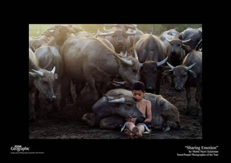 “Anak-Anak Diejek & Dipanggil KERBAU, Akhirnya Gambar Ini Dinobat 20 Terbaik Dunia 2018 Di Itali