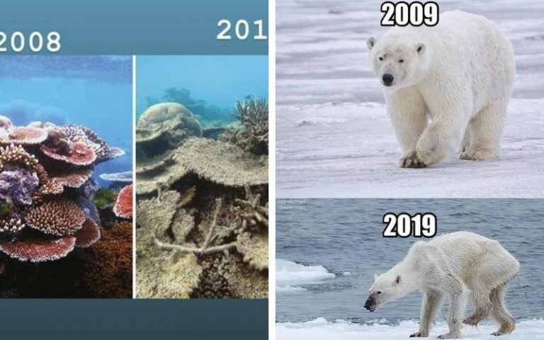 Dunia Semakin Kecundang, #10 Years Challange Bukti Manusia Perlu Sedar & Tahu
