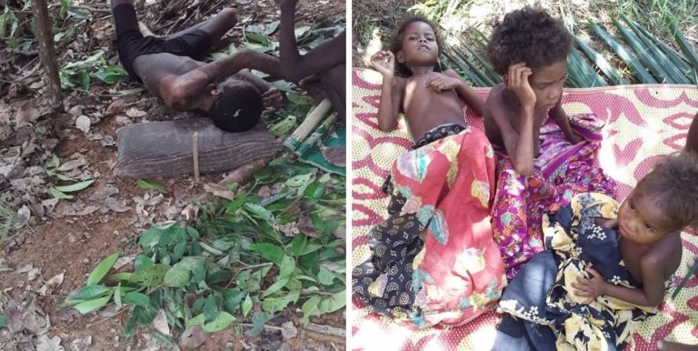 Bukan Saja Sakit & Catat 14 Kematian, Orang Asli Kuala Koh Turut Diancam Kebuluran