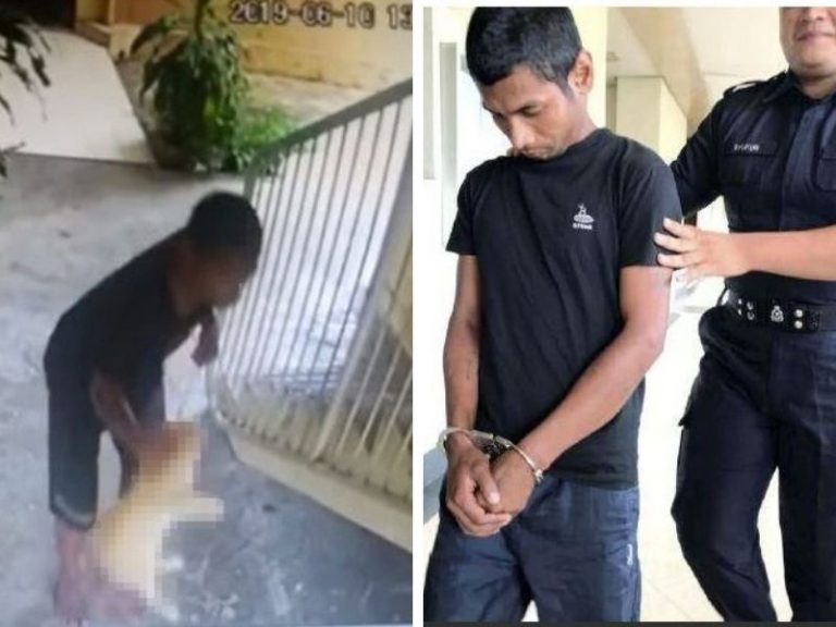 Kucing Cakar & Gigit Sampai Berlubang Punca Lelaki Gantung Kucing Sampai Mati