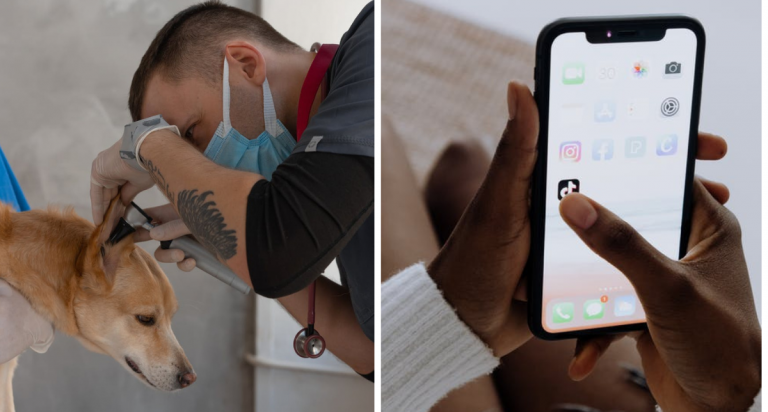 Doktor Haiwan Ini Didik Warganet Cara Menjaga Haiwan Dengan Betul Melalui Aplikasi Tiktok