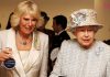 Ratu Elizabeth II Beri Restu Camilla Parker-Bowles Sebagai Bakal Permaisuri Dewi Remaja - Pengenalan