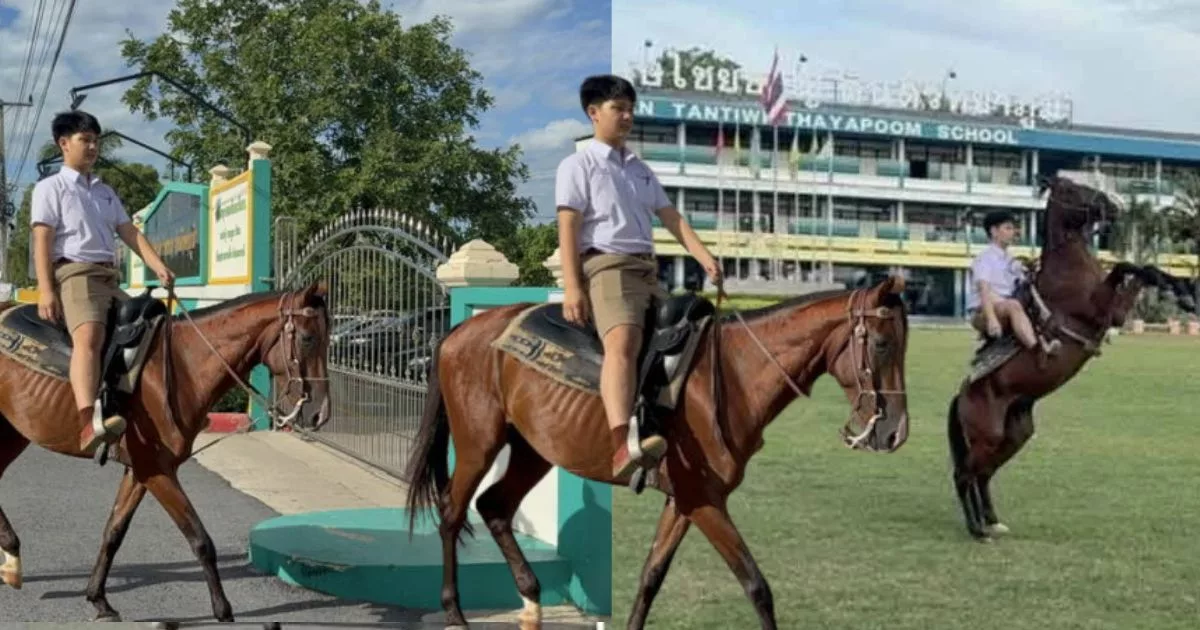 Nak Jimat Kos Minyak, Remaja Tunggang Kuda Ke Sekolah