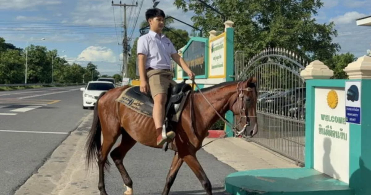 Nak Jimat Kos Minyak, Remaja Tunggang Kuda Ke Sekolah