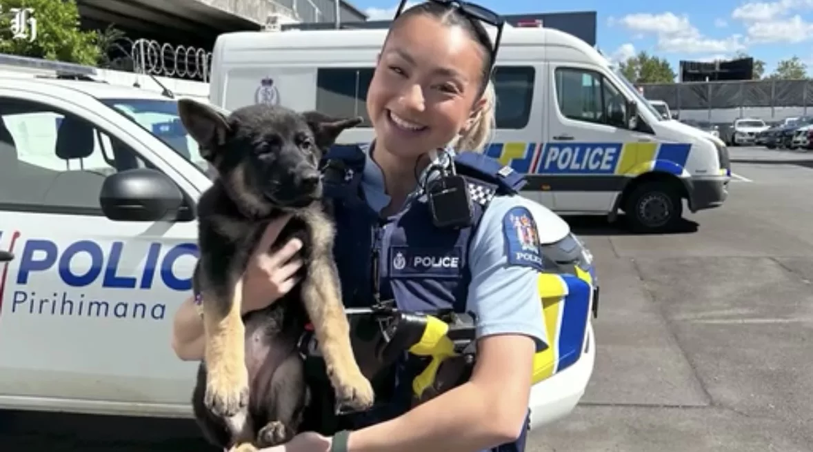 Dari Anggota Polis Ke Dunia Pageant, Abby Sturgin Dinobatkan Sebagai Miss Universe New Zealand 2025