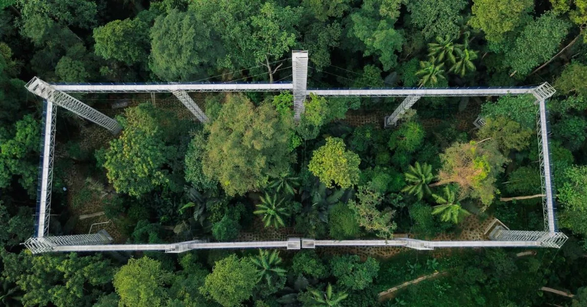 FRIM Kini Tapak Warisan Dunia Ke-6 Malaysia, Ini Sebab Kena Ambil Peduli!