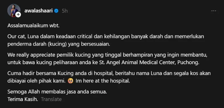 Kucing Kesayangan Kritikal, Awal Ashaari Cari Penderma Darah
