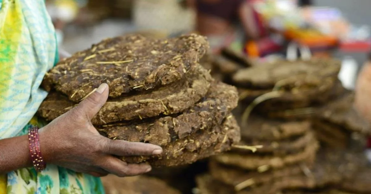 Tahi Lembu Bakal Gerakkan Kereta 5,500KM. Inovasi Hijau Paling Luar Biasa!