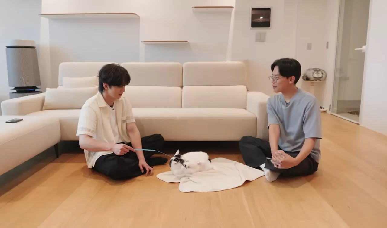 Yoo Seung Ho Derma Semua Gaji YouTube Demi Kucing, Sentuh Hati Peminat & Pencinta Haiwan