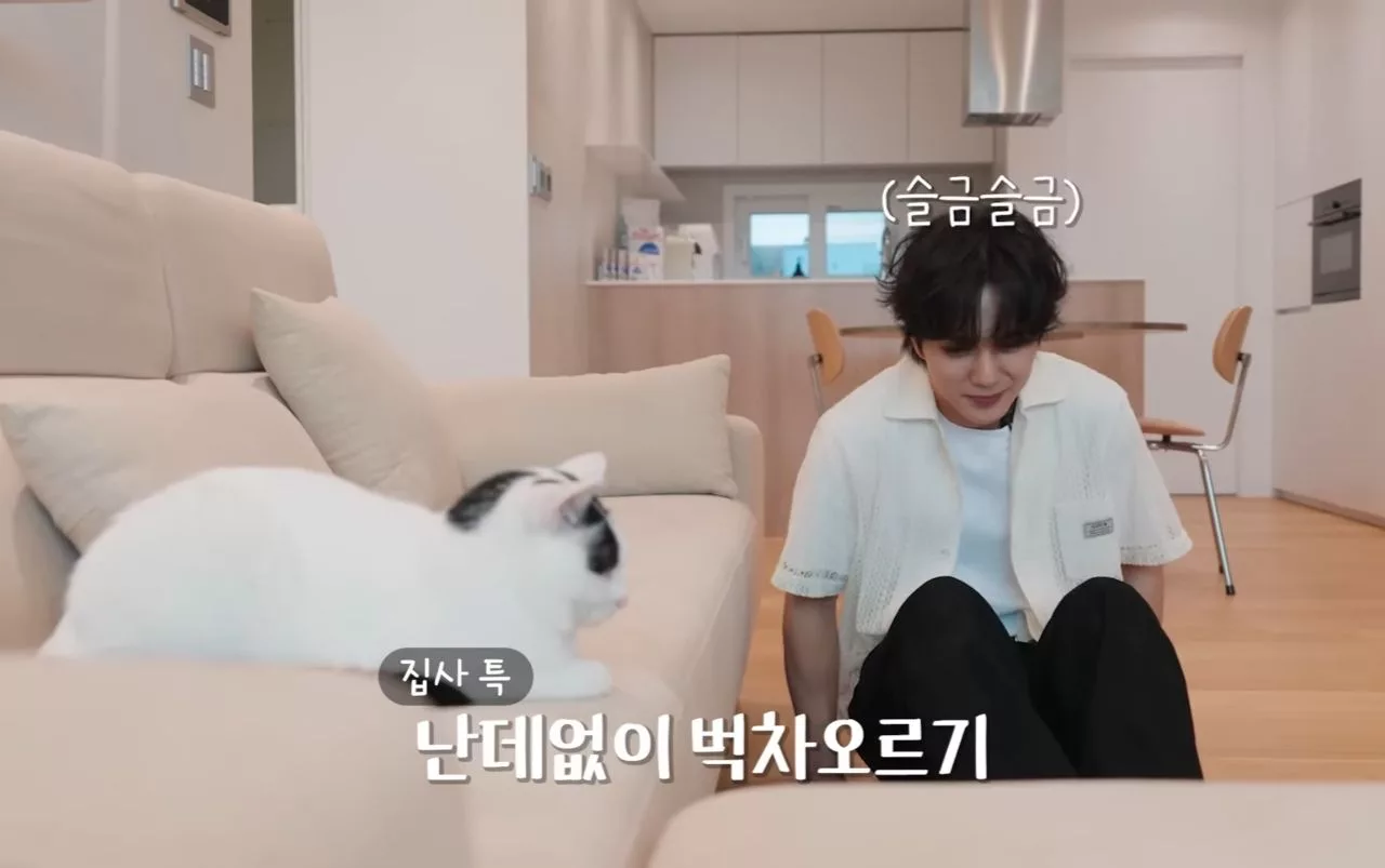 Yoo Seung Ho Derma Semua Gaji YouTube Demi Kucing, Sentuh Hati Peminat & Pencinta Haiwan