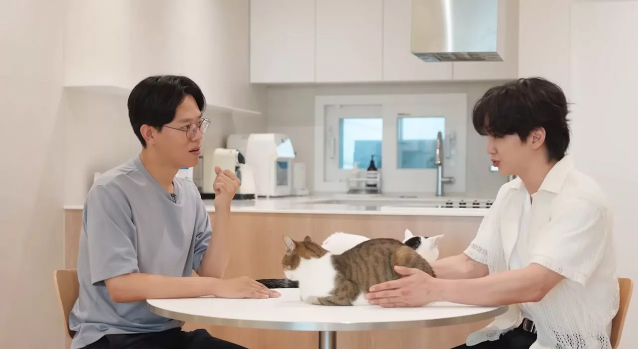 Yoo Seung Ho Derma Semua Gaji YouTube Demi Kucing, Sentuh Hati Peminat & Pencinta Haiwan