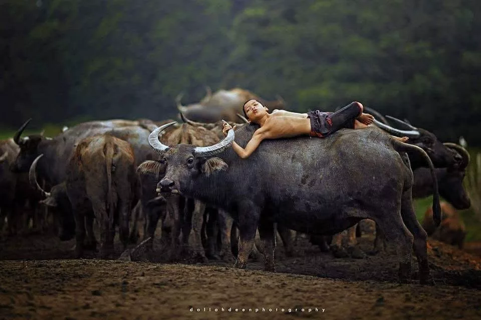 Saya #RemajaMalaysia : ‘Mowgli Malaysia’ Berjaya Tamat Pengajian Dengan Cemerlang Di GiatMara