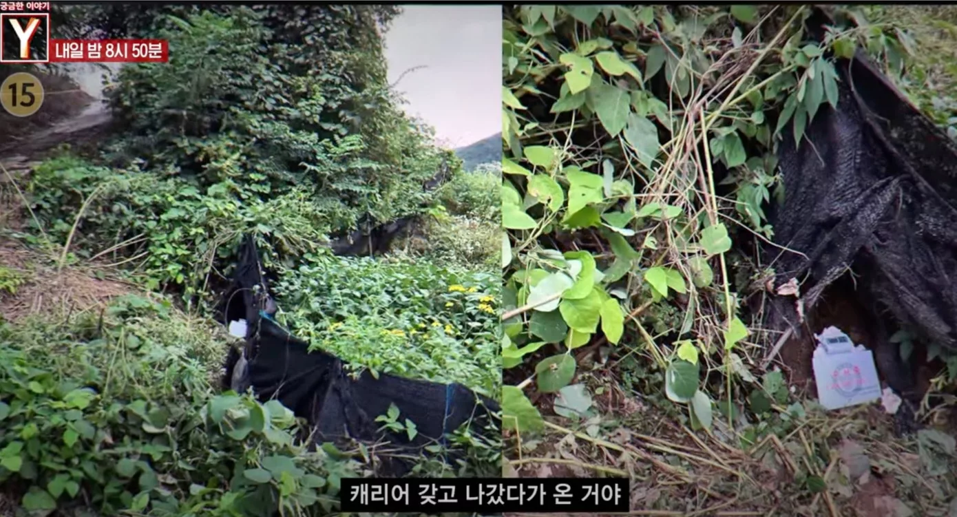 Pempengaruh Korea Yoon Ji-ah Ditemui Mati, ‘VIP’ Industri Penstriman Jadi Suspek