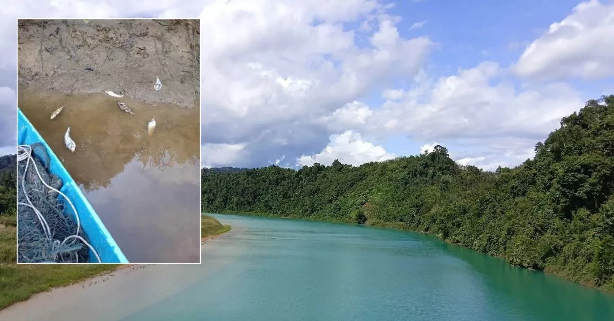 Air Sungai Perak Biru: Fenomena Misteri yang Mengejutkan & Mengundang Kebimbangan