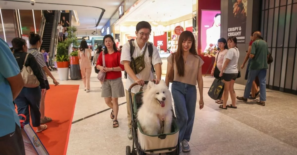Sunway Square Mall Larangan Haiwan Peliharaan: Dasar Ditarik Balik, Netizen Terkejut 4 Sunway Square Mall Larangan Haiwan Peliharaan: Dasar Ditarik Balik, Netizen Terkejut