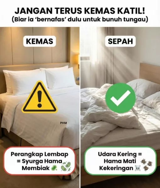 Kemas Katil Terlalu Awal Boleh Undang Resdung, Fakta Sains Ini Ramai Tak Tahu