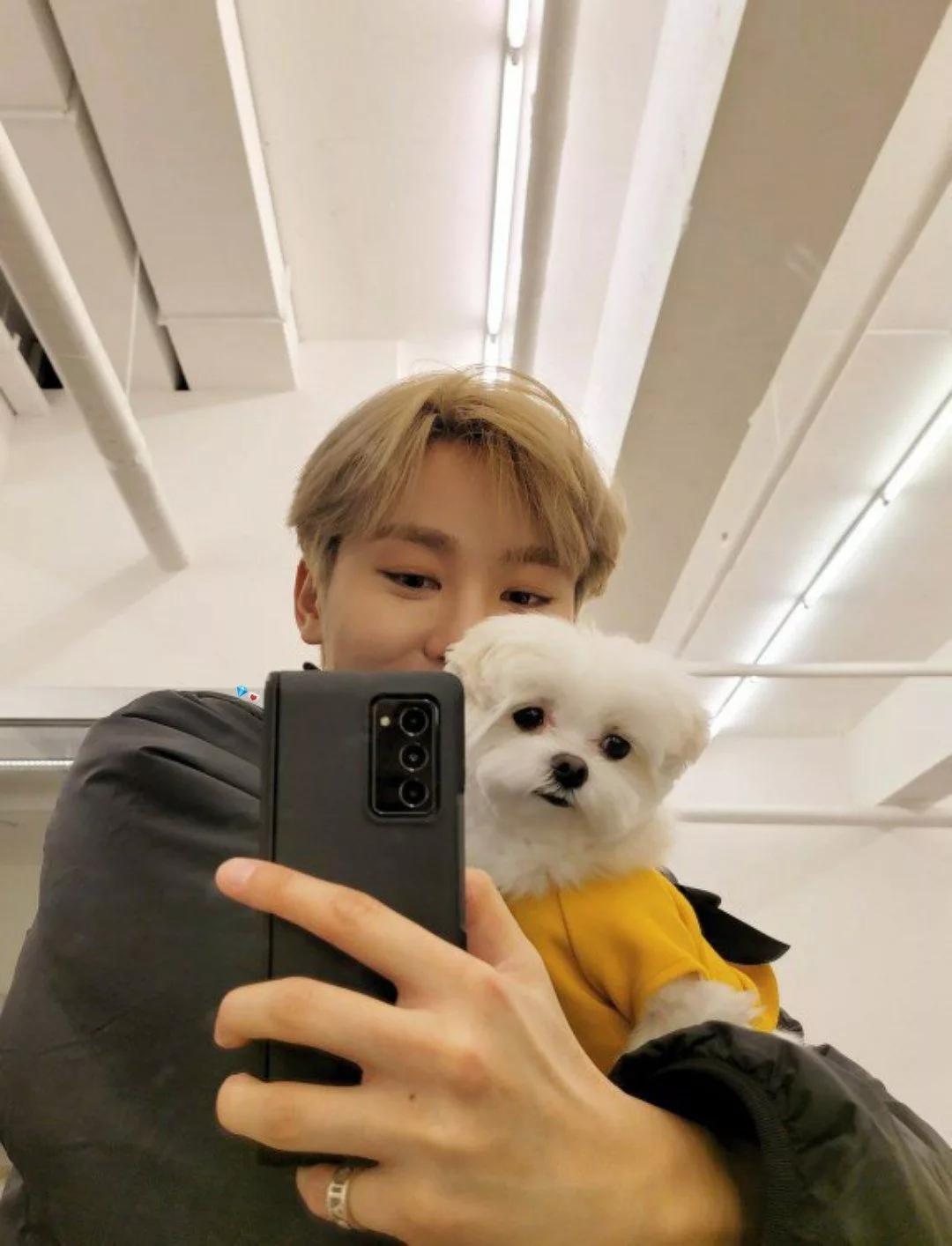 Prihatin Nasib Haiwan, Seungkwan SEVENTEEN Derma 10 Juta Korea Won Demi Kebajikan Anjing Terbiar Di Jeju