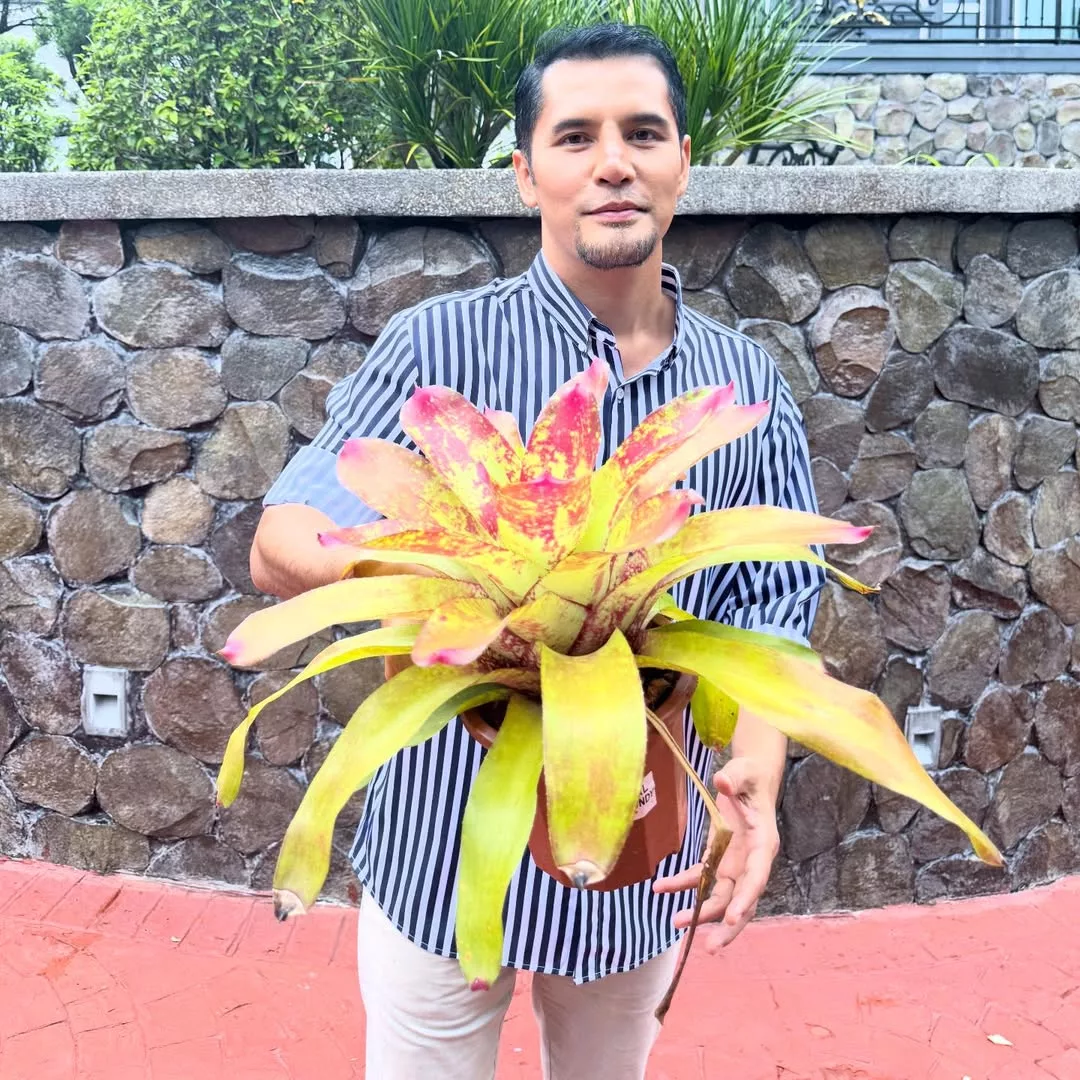 Jarang Beri Komen, Siti Nurhaliza Tersentuh Dengar Nyanyian Aliff Syukri