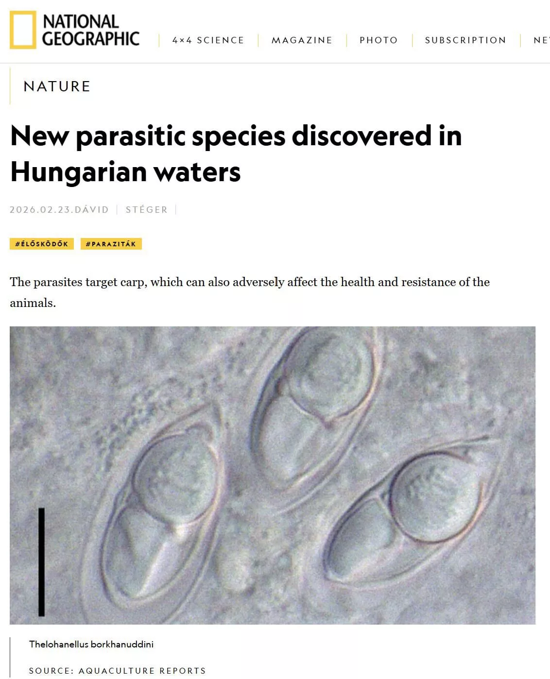 “Saya Benar-Benar Rasa Dihargai” Nama Saintis UMT Diabadikan Dalam Taksonomi Antarabangsa, Spesies Baru Parasit Ikan Ditemui