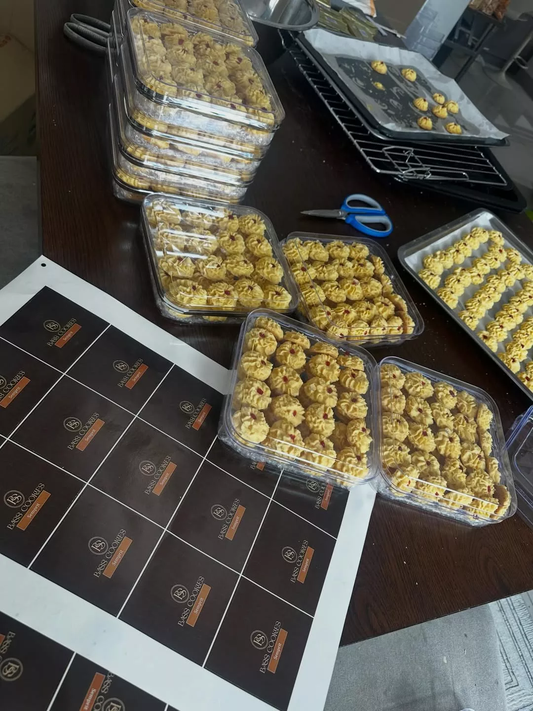 Syed Saddiq Jadi ‘Runner’ Hantar Biskut Raya Air Tangan Bella Astillah Kepada PMX