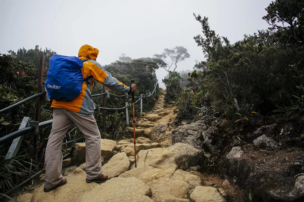Tersesat Masa Mendaki? Ikuti Tip Paling Selamat Daripada Malim Gunung Ini Jika Hilang Arah