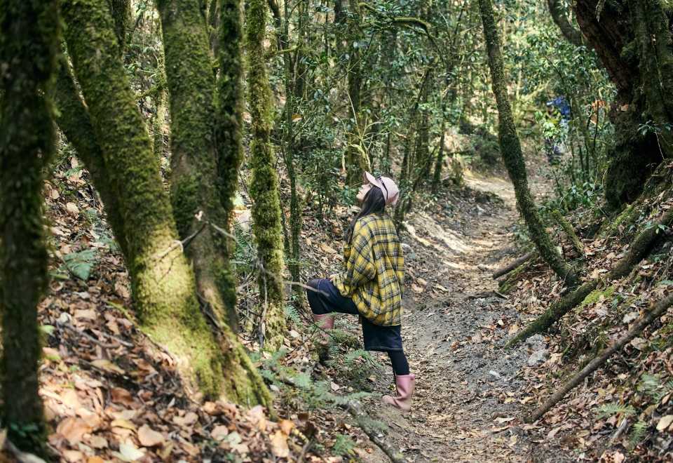 Tersesat Masa Mendaki? Ikuti Tip Paling Selamat Daripada Malim Gunung Ini Jika Hilang Arah