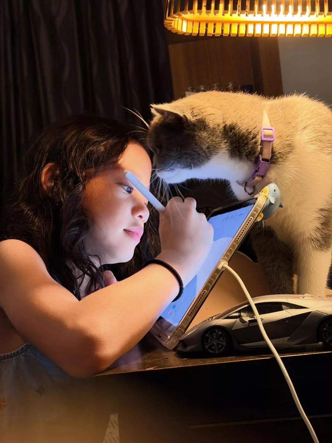 Anak Redza Minhat Raih Pencapaian Cemerlang Dalam Primaly English Olympiad 2026, Netizen Tumpang Bangga 9 Anak Redza Minhat Raih Pencapaian Cemerlang Dalam Primaly English Olympiad 2026, Netizen Tumpang Bangga