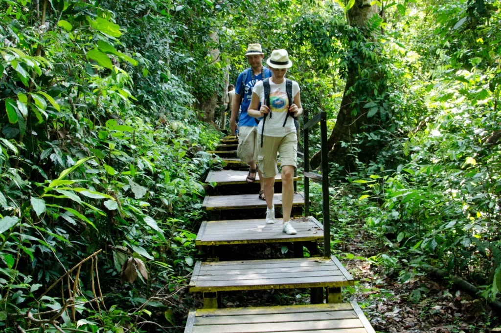 Mutiara Taman Negara, Destinasi ‘Healing’ Yang Buat Anda Lupa Hiruk-Pikuk Bandar! 29 Mutiara Taman Negara, Destinasi ‘Healing’ Yang Buat Anda Lupa Hiruk-Pikuk Bandar!