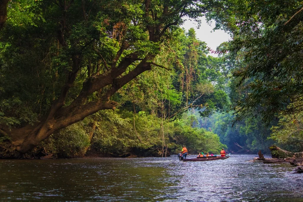 Mutiara Taman Negara, Destinasi ‘Healing’ Yang Buat Anda Lupa Hiruk-Pikuk Bandar! 20 Mutiara Taman Negara, Destinasi ‘Healing’ Yang Buat Anda Lupa Hiruk-Pikuk Bandar!