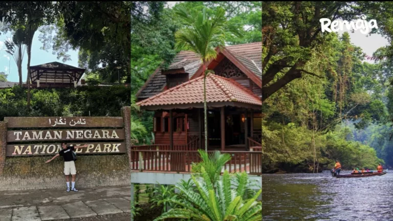 Mutiara Taman Negara, Destinasi ‘Healing’ Yang Buat Anda Lupa Hiruk-Pikuk Bandar!