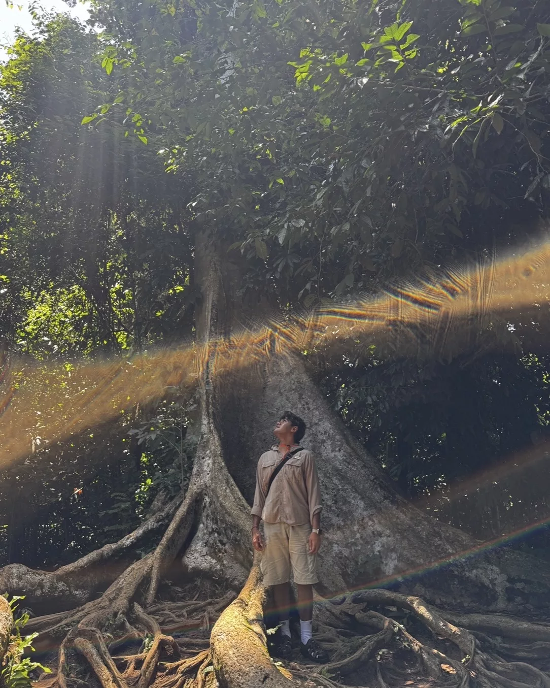 Mutiara Taman Negara, Destinasi ‘Healing’ Yang Buat Anda Lupa Hiruk-Pikuk Bandar! 31 Mutiara Taman Negara, Destinasi ‘Healing’ Yang Buat Anda Lupa Hiruk-Pikuk Bandar!