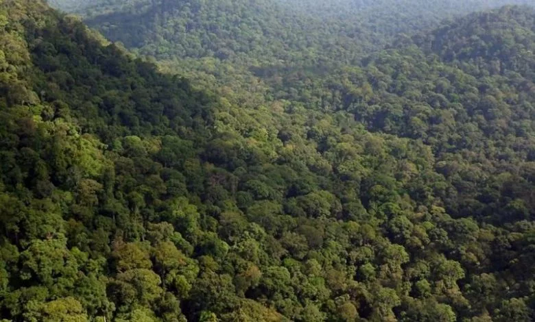 Enam Pendaki Termasuk Dua Kanak-Kanak Dikhuatiri Hilang Ketika Daki Gunung Trans Gerah