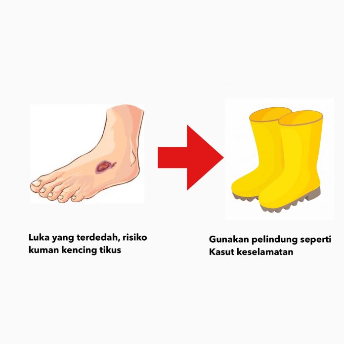 Hujan Tidak Berhenti Selama 24 Jam, Ini 10 Langkah Pencegahan Kesihatan